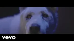 Mode XL Kimse Karışmasın Albüm Kapağı