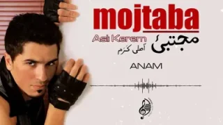 Mojtaba Anam
