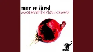 Mor ve Ötesi Festus