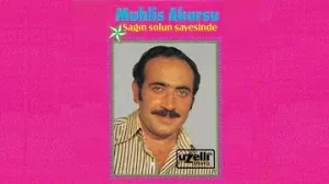 Muhlis Akarsu Karışmam Gayri Albüm Kapağı