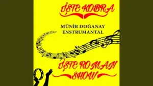 Münir Doğanay - Boyacı