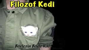 Murat Olg Böyle Güzelsin Hep Böyle Kal Albüm Kapağı