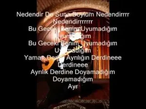 Musa Eroğlu Nedendir Arguvan Albüm Kapağı