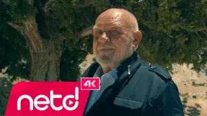 Musa Eroğlu Yosunlu Taş Albüm Kapağı