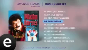 Müslüm Gürses Acımıyorsan Albüm Kapağı