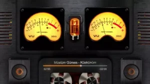 Müslüm Gürses Küskünüm (2017 Remastered Versiyon) Albüm Kapağı