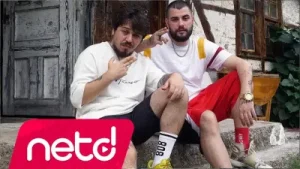 Musta Hidra Sorun Teşkil Etmez Albüm Kapağı