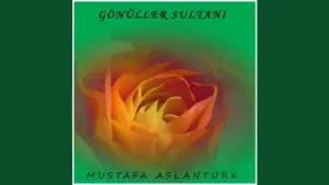 Mustafa Aslantürk Allahu Allah Albüm Kapağı