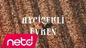 Mustafa Çevik Ayçiçekli Evren Albüm Kapağı