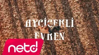 Mustafa Çevik Ayçiçekli Evren