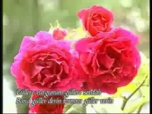 Mustafa Demirci İlahileri Albüm Kapağı