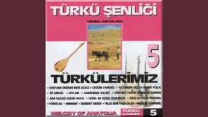 Mustafa Oruç Felek Beni Taşa Çaldı Albüm Kapağı
