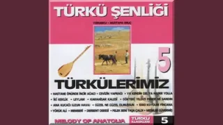 Mustafa Oruç Memberi