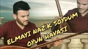 Mustafa Tereci – Elmayı Nazik Soydum Yarin Ağzına Koydum Oyun Havası Albüm Kapağı