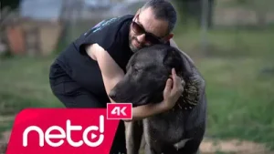 Nadir Birgören Bir Heves Aşk Albüm Kapağı