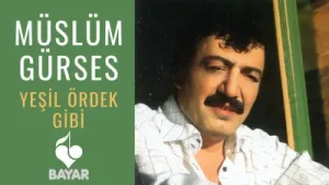 Ne Sen Beni Unut Nede Ben Seni Albüm Kapağı