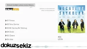Necati ve Saykolar Usta Albüm Kapağı
