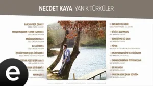 Necdet Kaya Bitlis’te Beş Minare