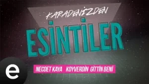 Necdet Kaya Koyverdin Gittin Beni Gelevera Deresi Albüm Kapağı