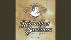Necdet Zenginoğlu Sen Sanki Baharın Gülüşün Albüm Kapağı