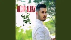 Necip Albay Bir Dost Buldum Ben Albüm Kapağı