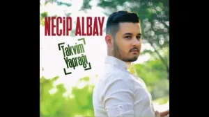Necip Albay Karanfilin Moruna Albüm Kapağı