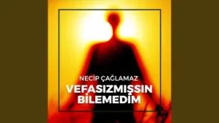 Necip Çağlamaz Vefasızmışsın Bilemedim