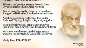 Necip Fazıl Kısakürek Sakarya Türküsü Albüm Kapağı