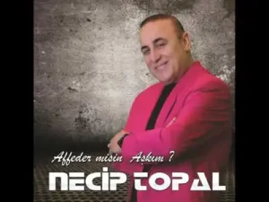 Necip Topal Seninle Uğraşamam Albüm Kapağı
