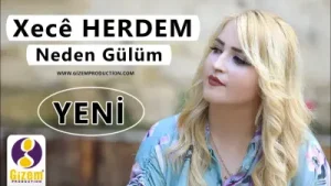 Neden Gülüm Neden Albüm Kapağı