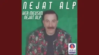 Nejat Alp Hangi Rüzgar Attı Seni