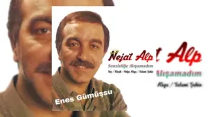 Nejat Alp Sensizliğe Alışamadım Albüm Kapağı