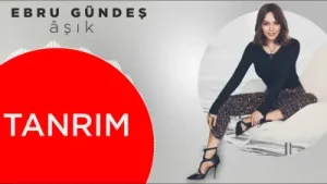 Nerden Düştüm Bu Sevdaya Albüm Kapağı
