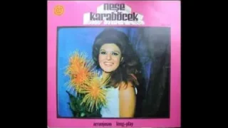 Neşe Karaböcek Adını Anmayacağım