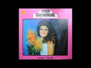 Neşe Karaböcek Arım Balım Peteğim