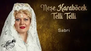 Neşe Karaböcek Ayıp Sana Sabri