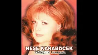 Neşe Karaböcek Bir İlkbahar Sabahı