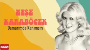 Neşe Karaböcek Damarımda Kanımsın