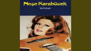 Neşe Karaböcek Derdine Düştüm