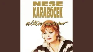 Neşe Karaböcek Elbet Bir Gün Buluşacağız Albüm Kapağı