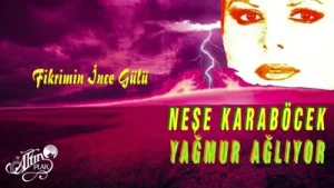 Neşe Karaböcek Fikrimin İnce Gülü Albüm Kapağı