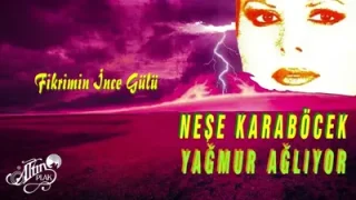Neşe Karaböcek Fikrimin İnce Gülü