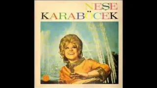 Neşe Karaböcek Gökyüzünde Yalnız Gezen Yıldızlar