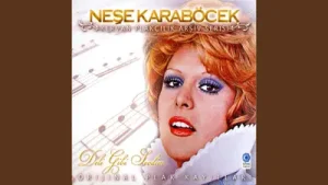 Neşe Karaböcek Kırk Yıllık Dost Gibiyiz Albüm Kapağı