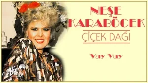Neşe Karaböcek Lolo Vay Vay