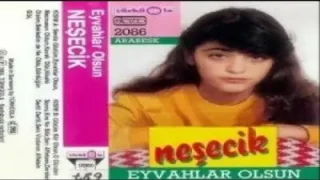 Neşecik Çilekeş