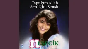 Neşecik Garipsin Albüm Kapağı