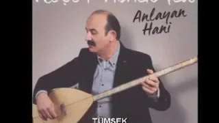 Neşet Abalıoğlu Tümsek