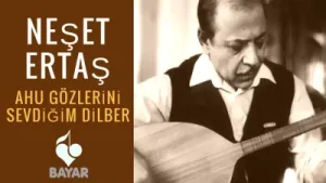 Neşet Ertaş Ahu Gözlerini Sevdiğim Albüm Kapağı