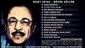 Neşet Ertaş Ay Gibi Yüzler Sende Albüm Kapağı
